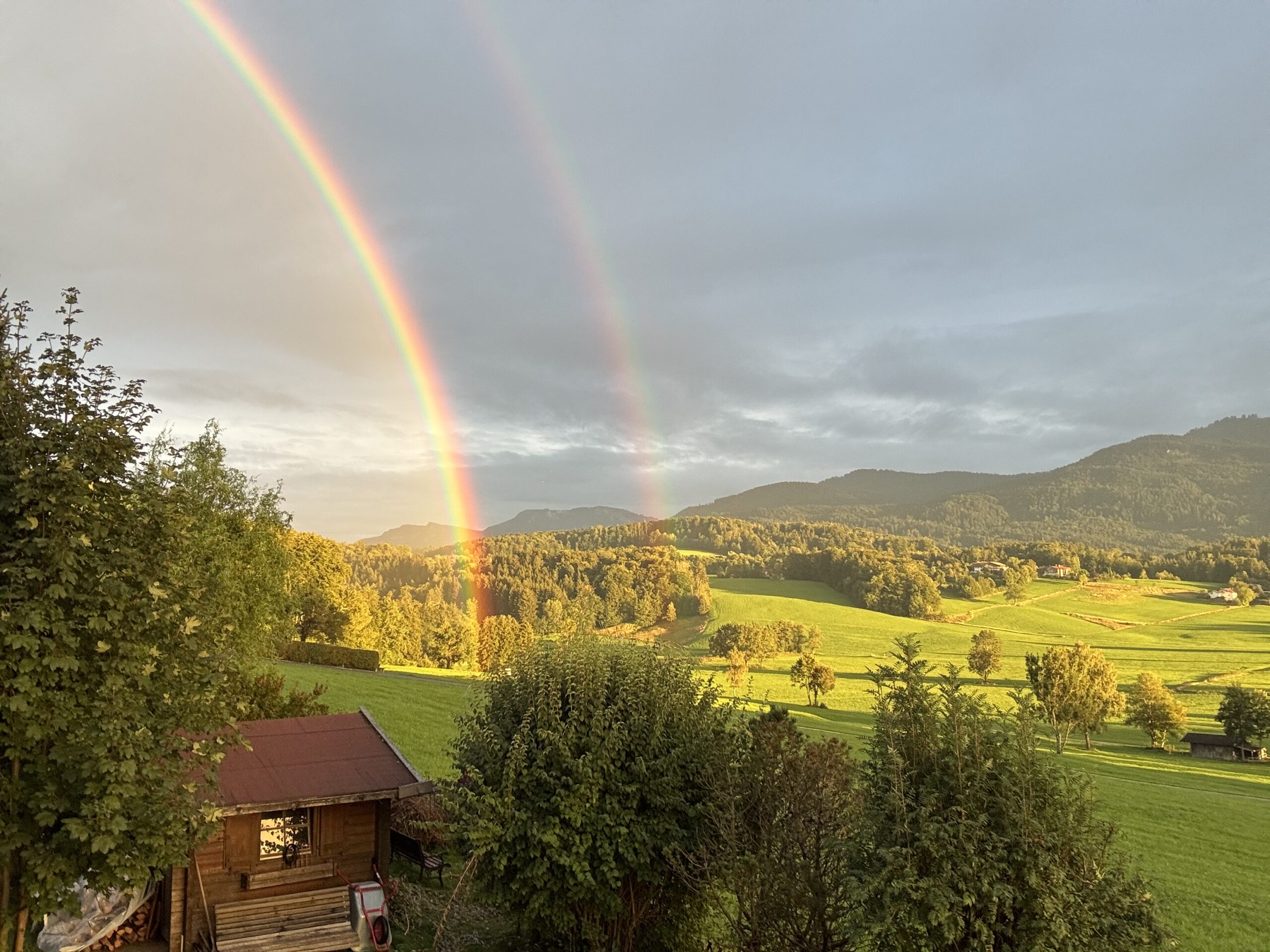 Angebots Visualisierung